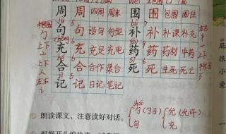 年的组词二年级 二年级上册生字组词