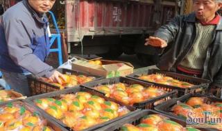 江苏十大食品批发市场 雨润水果批发市场