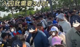 迪士尼3万人算多吗