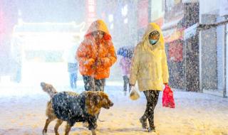 元月打雷有什么说法 正月雷打雪有什么说法