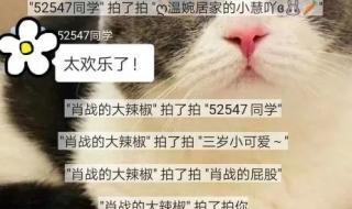 男生拍一拍是喜欢你吗 微信拍了拍是什么意思