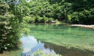 安吉的哪几个景点最值得去 浙江安吉旅游景点