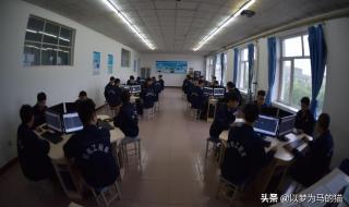 全国就业率最高的专科院校有哪些 就业率高的专科学校